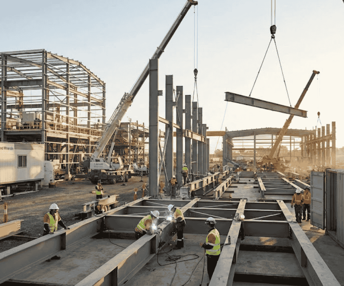 Plant Structure Fabrication